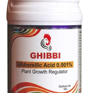 Ghibbi