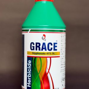 Grace