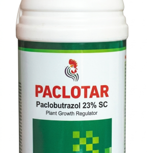 Paclotar