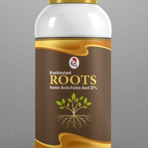 Roots